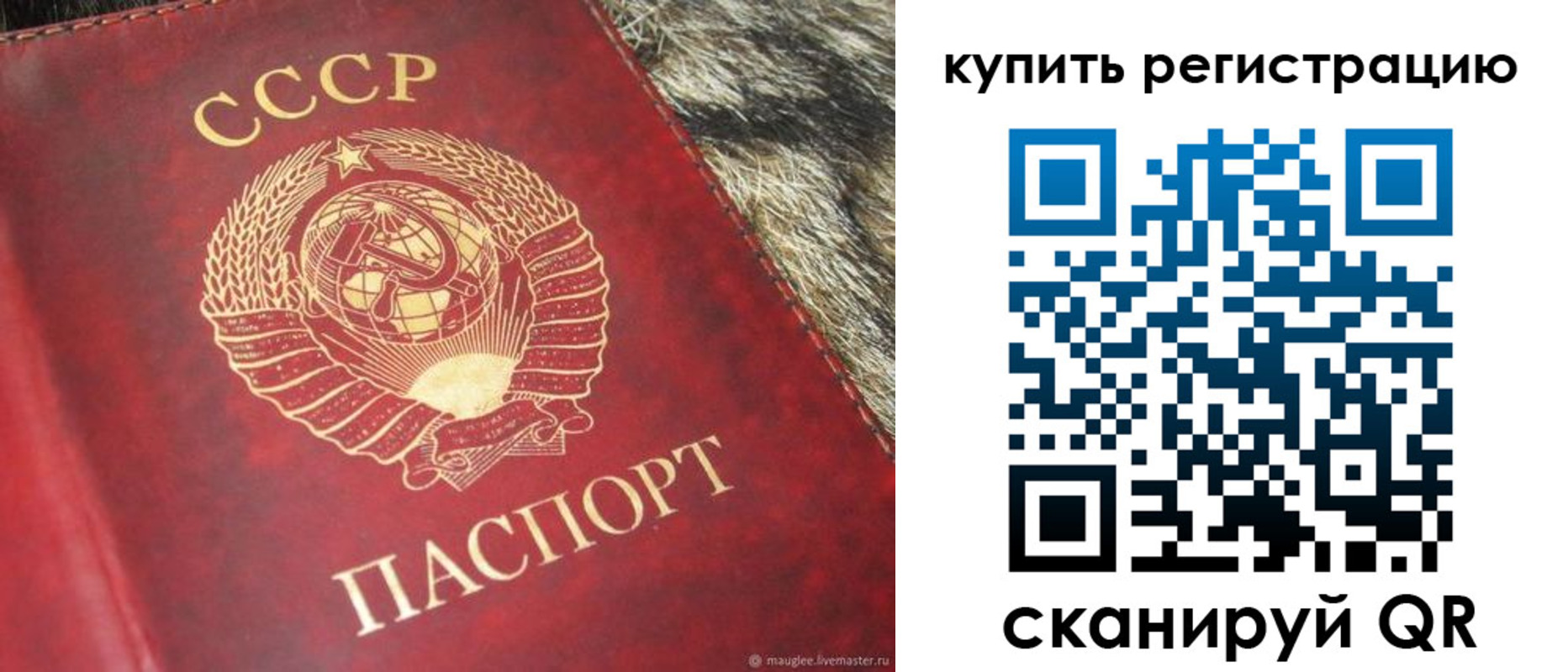 прописка 2025 в Ярославле